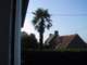 Hotel view